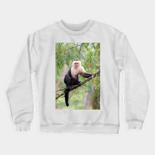 Capuchin monkey - Costa Rica Crewneck Sweatshirt